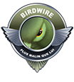 Birdwire Birdwire